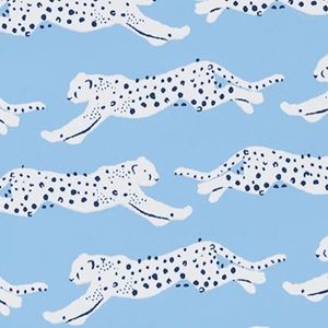 Meet your Posher, Ashlyn